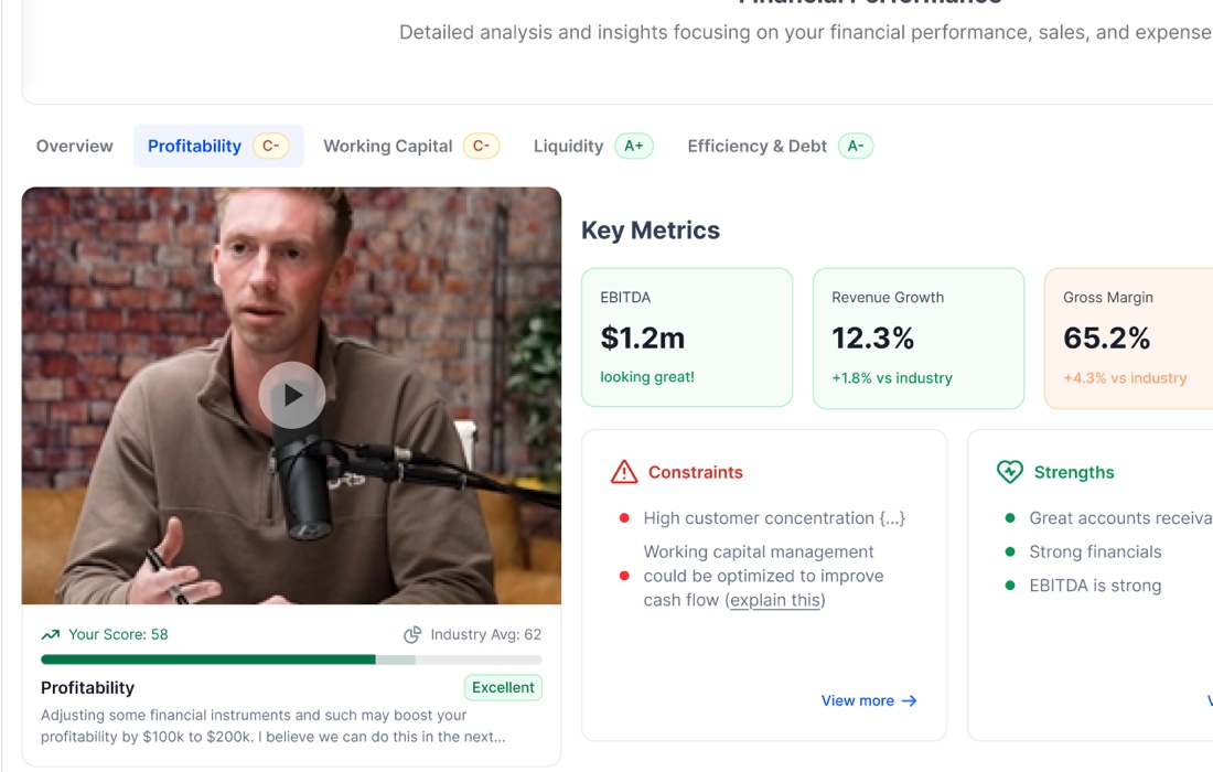 FNDRS.io platform — Profitability scoring view with EBITDA, revenue growth, and gross margin metrics from the financial-performance assessment